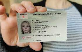 Provisional Driving Licence