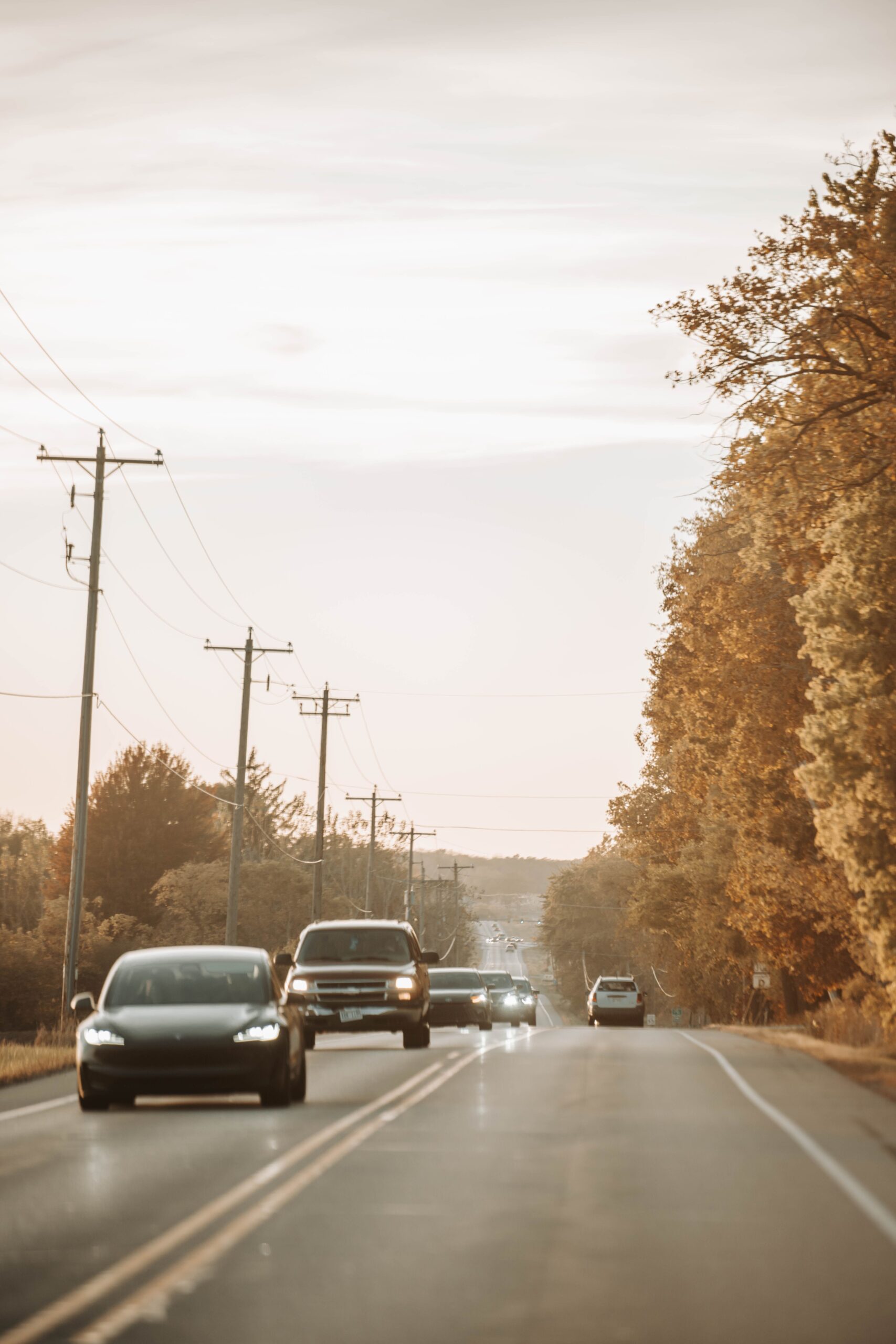 can a visitor drive in usa