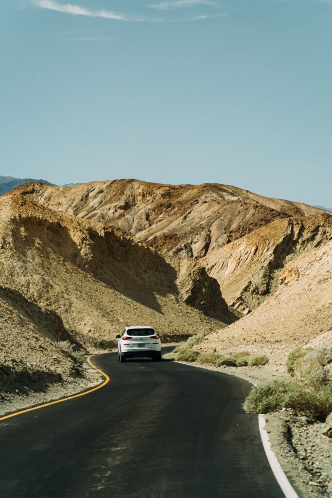 can a visitor drive in usa
