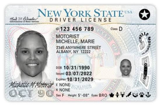 how to get a driver's licence in new york